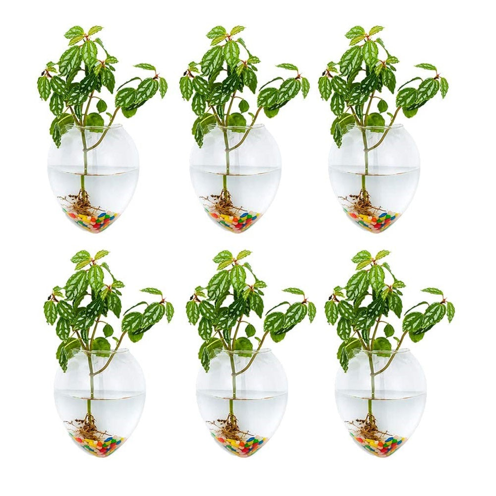 hanging glass pots for plants 4Pcs/6Pcs Mouse Shape Plant Pots Terrarium Container Vase with Colorful Stones, Pack of 6