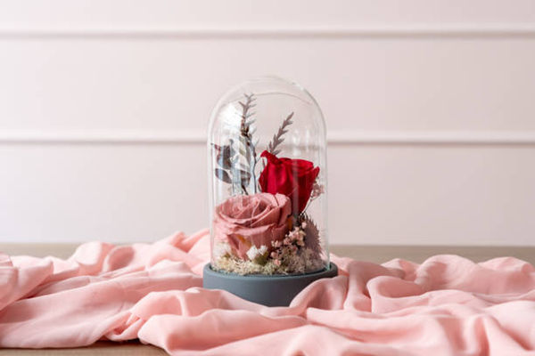 How to Place Rose in a Glass Dome