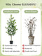 Artificial Tree Plants Outdoor: 4.9ft Tall Fake Camellia Flower Trees for Home Front Porch Decor - Faux White Rose Plants with Pot for Patio Yard Indoor Living Room