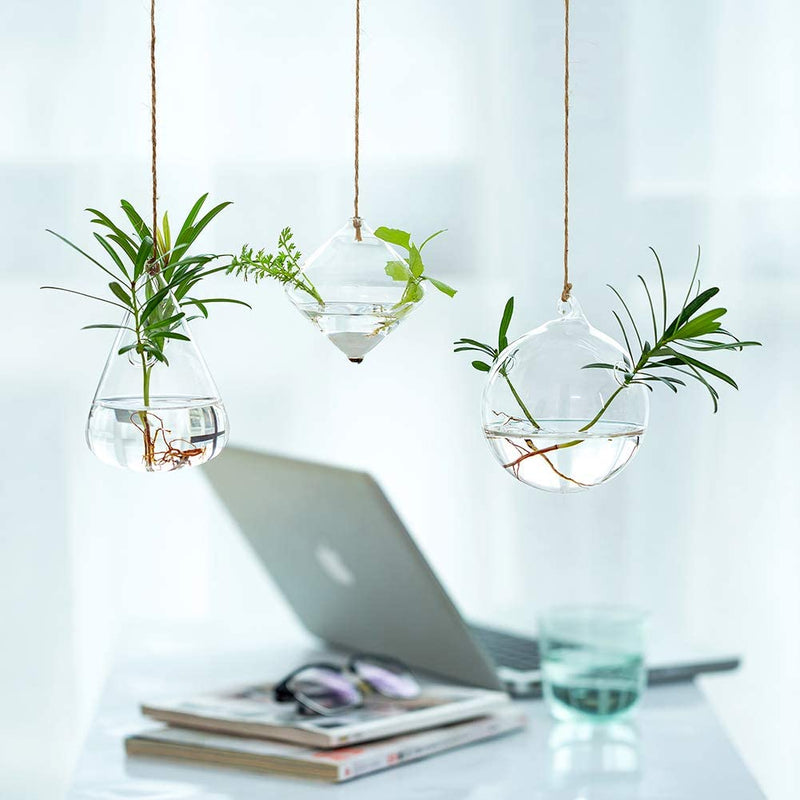 glass hanging planters