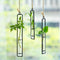 hanging glass succulent planter