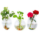 hanging planter vases