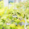 hanging glass planter