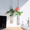 hanging terrarium