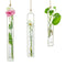 hanging air plant holders