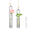 indoor hanging planters