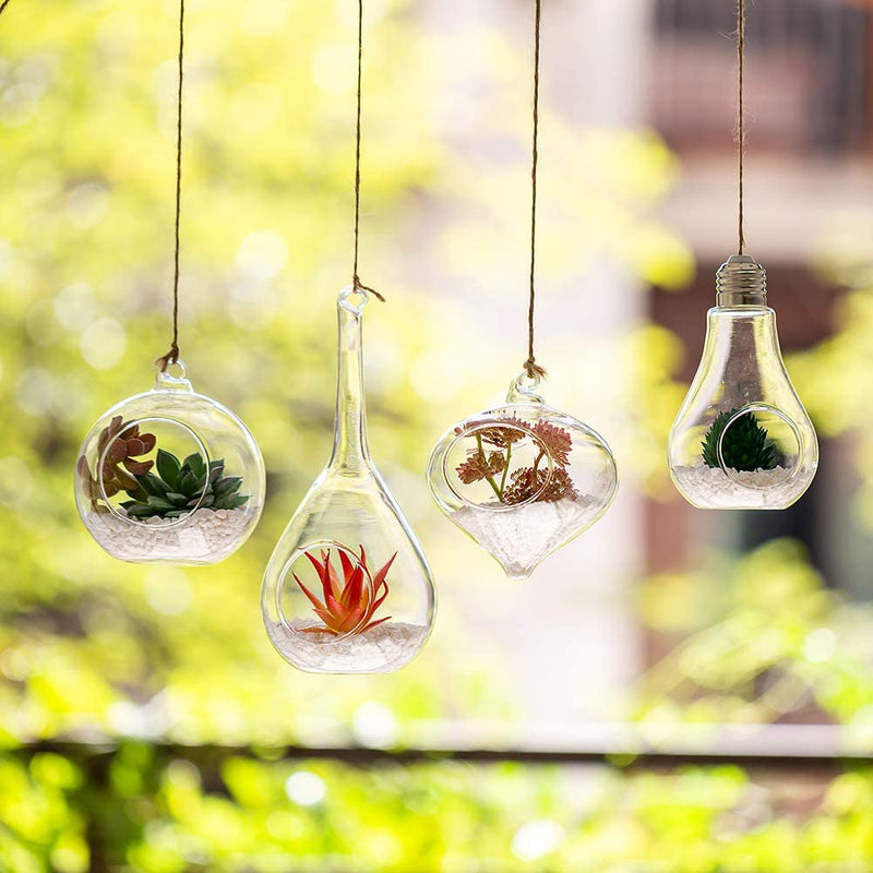 4Pcs/set Round, Teardrop, Olive and Bulb Orbs Air Plants Hanger Vase for Succulent, Air ferns