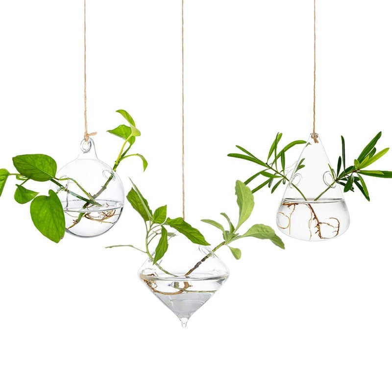 air plant terrarium hanging