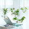 4Pcs/Set Hanging Planters Water Air Plant for Home Decer