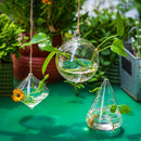 hanging glass terrarium