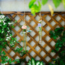 hanging plants in glass