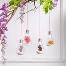 4Pcs/set Hanging Glass Bulb Terrarium Globes with Twine Rope Decorations