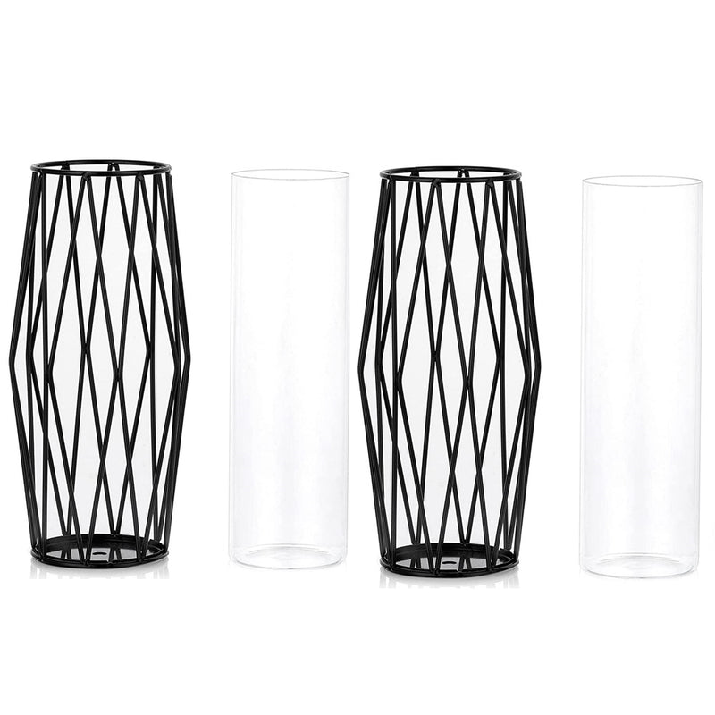 Flower Vases with Metal Art Frame