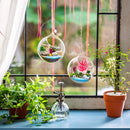 4Pcs/set Hanging Glass Globes Terrarium Succulents Orbs for Home Party Wedding Garden DIY Design