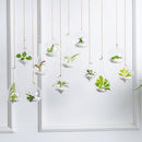 glass wall planters