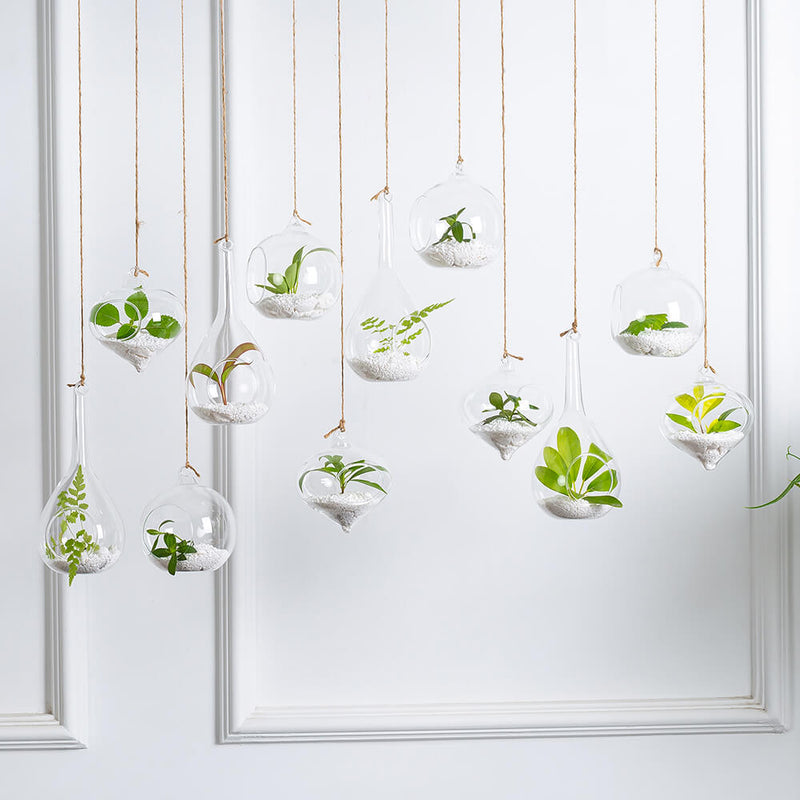 glass wall planters