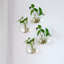hanging planter vases