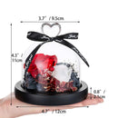 Eternal Rose in Glass Dome with LED Lights for Gifts Valentine's Day