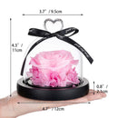 Real Eternal Rose in Glass Dome Gift for Her Thanksgiving Mother's Day