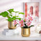 cylinder vases for centerpieces