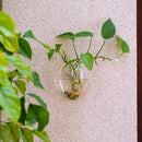glass planters wall hanging