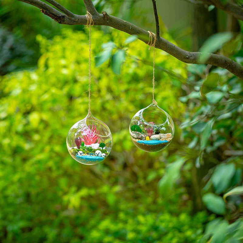 4Pcs/set Hanging Glass Globes Terrarium Succulents Orbs for Home Party Wedding Garden DIY Design