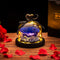Enchanted Rose in Glass Dome Operated with LED Lights Silk Eternal Lamp Lasts