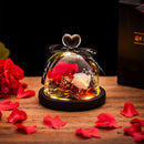 Eternal Rose in Glass Dome with LED Lights for Gifts Valentine's Day