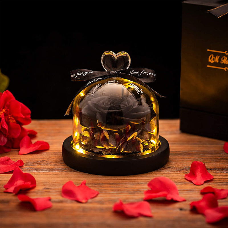 Preserved Flower Glass Dome Fresh Forever Eternal Roses Lamp Lasts for Gifts