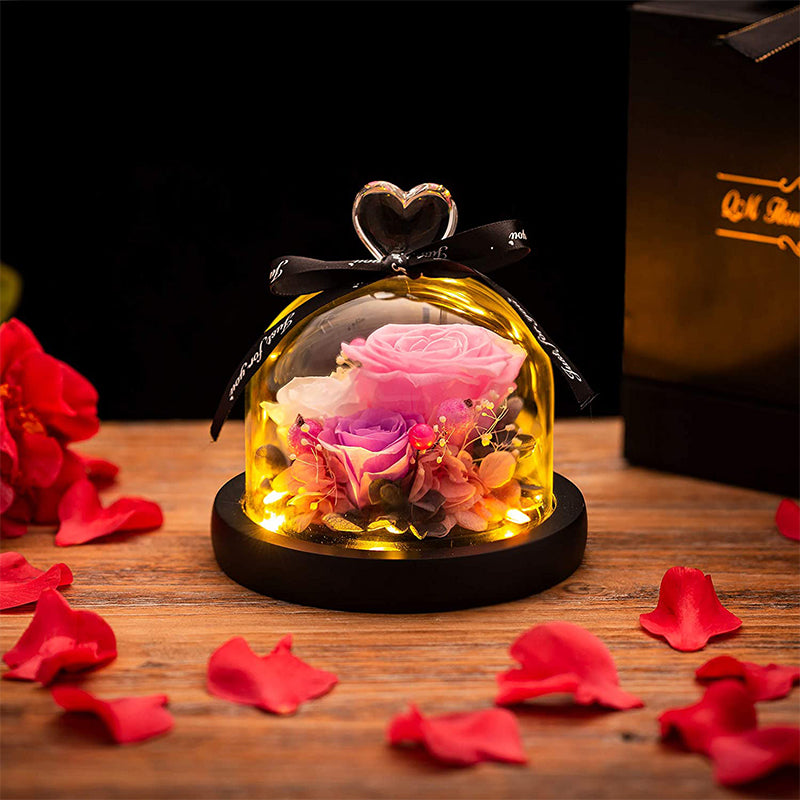Eternal Flower with Packing Preserved Rose Glass Dome Lights for Gifts