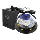 Preserved Real Rose Eternal Rose in Glass Dome for Anniversary