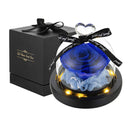 Enchanted Rose in Glass Dome Operated with LED Lights Silk Eternal Lamp Lasts