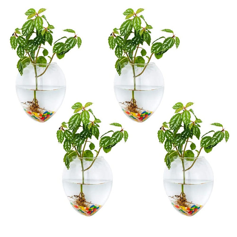 wall hanging glass planter 4Pcs/6Pcs Mouse Shape Plant Pots Terrarium Container Vase with Colorful Stones, Pack of 4