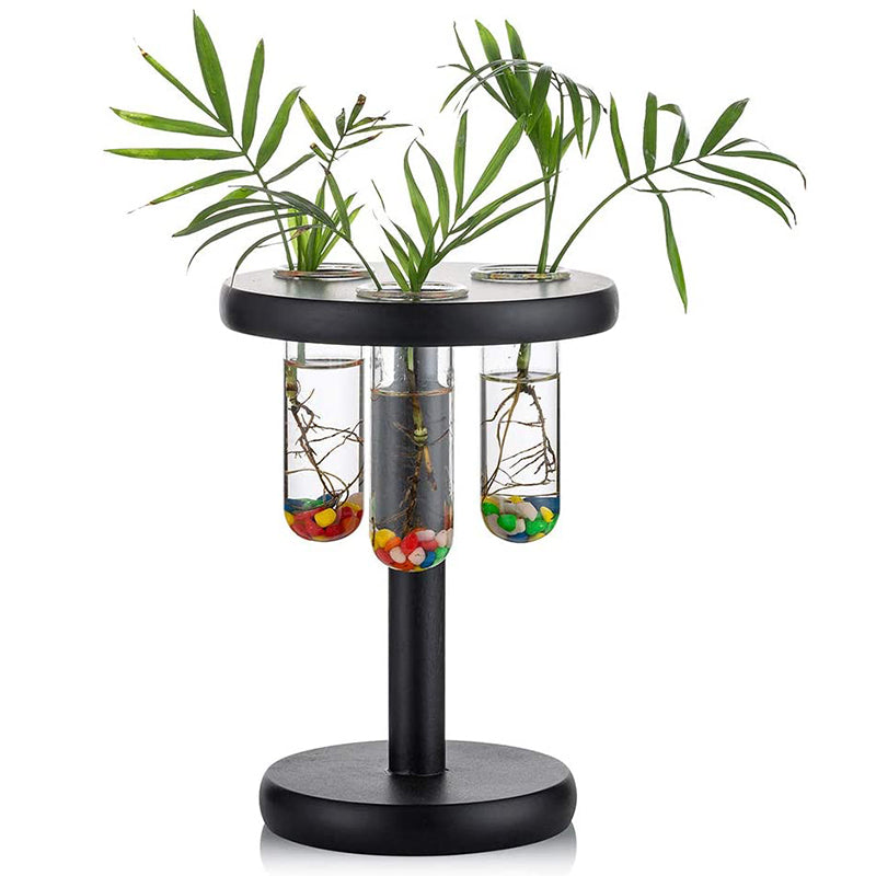 plant propagation station