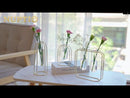 2Pcs/Set Flower Vases with Iron Art Frame Geometric Plant Pot for Table Decor